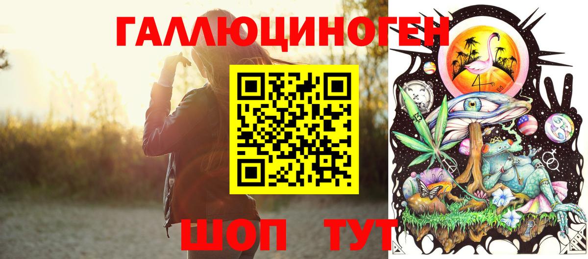 Псилоцибиновые грибы Psilocybine cubensis Солнечногорск